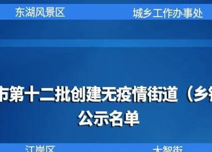 三年疫情叫什么名字2004（三年疫情叫什么名字来着）