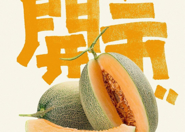 疫情解封后文案（疫情解封心情）
