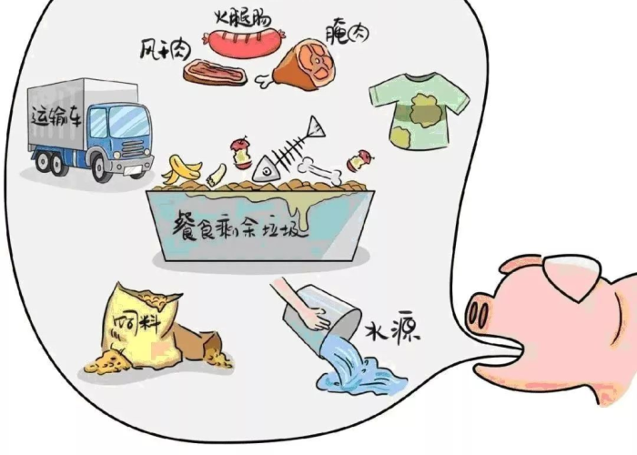 三年以后还会有疫情吗（三年后会发生什么）