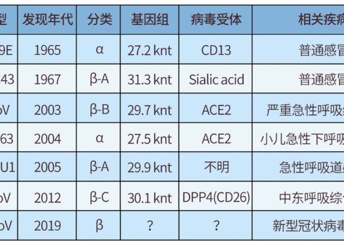 2019年底新冠疫情（2019年底新冠疫情病毒名称）