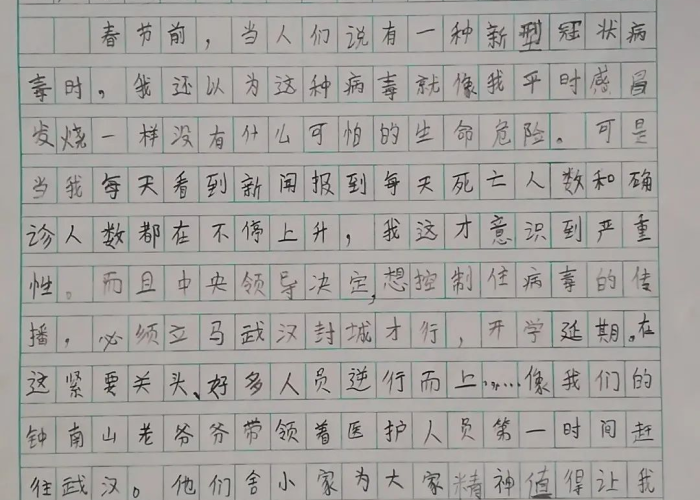 疫情期间的英雄作文450（疫情期间的英雄作文450字）