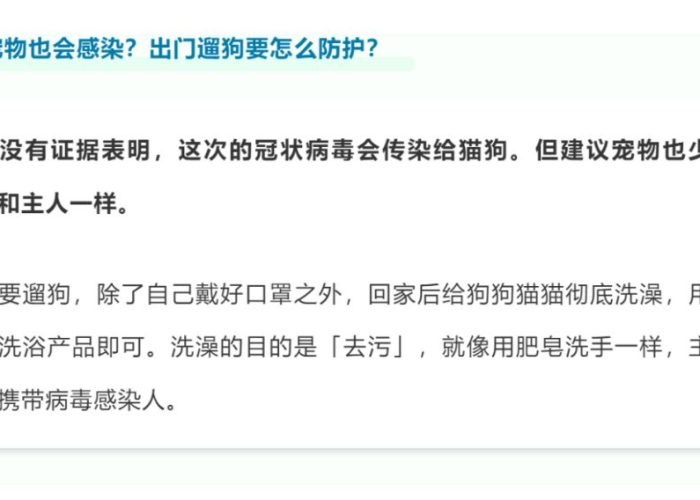 疫情期间找点事情做（疫情期间能做到小事）