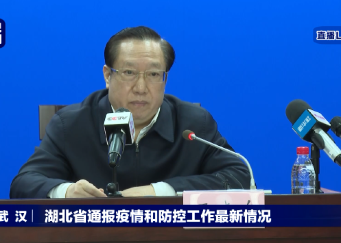 疫情湖北处理了多少官员（疫情已经处理湖北官员）