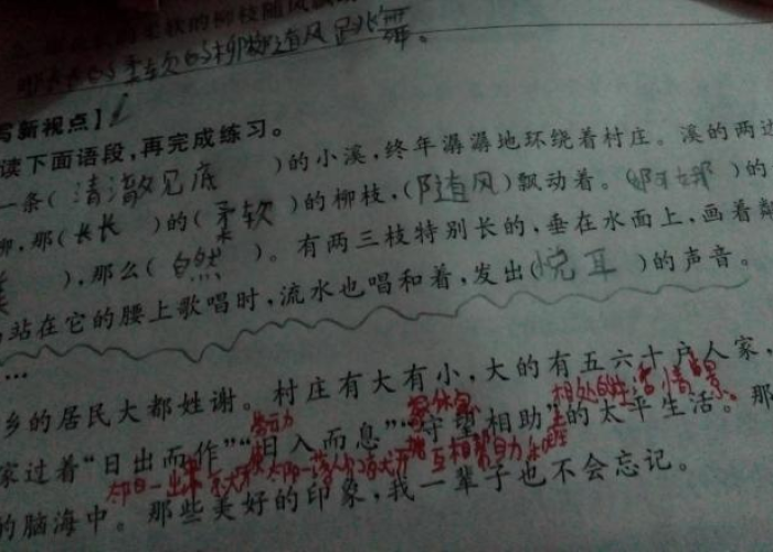 那段难忘的日子疫情作文网课（难忘的疫情网课400）