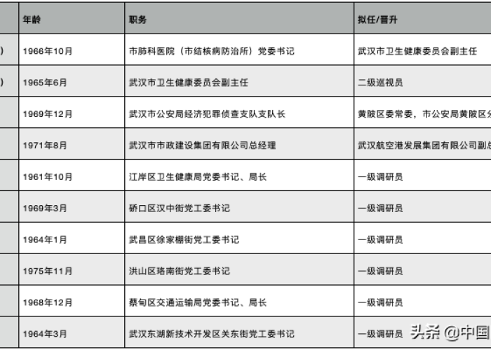湖北武汉市疫情辞退领导（湖北武汉市疫情辞退领导名单）