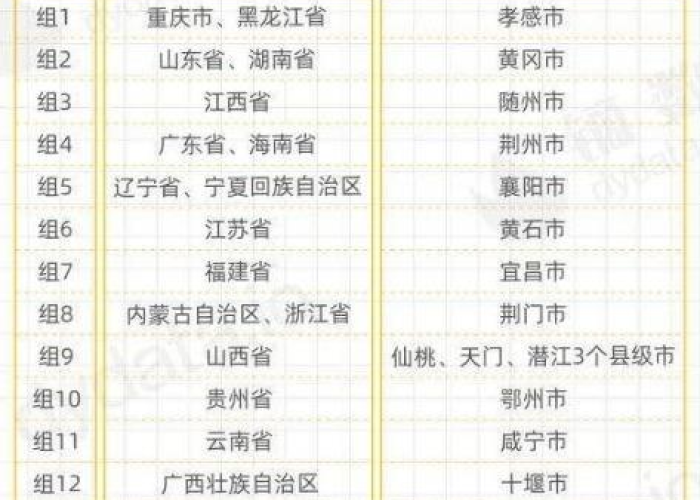 抗击疫情各省对口支援武汉一览表（几个省对口支援武汉）