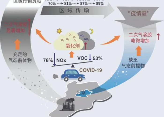 疫情的来源与作用（疫情的来因）