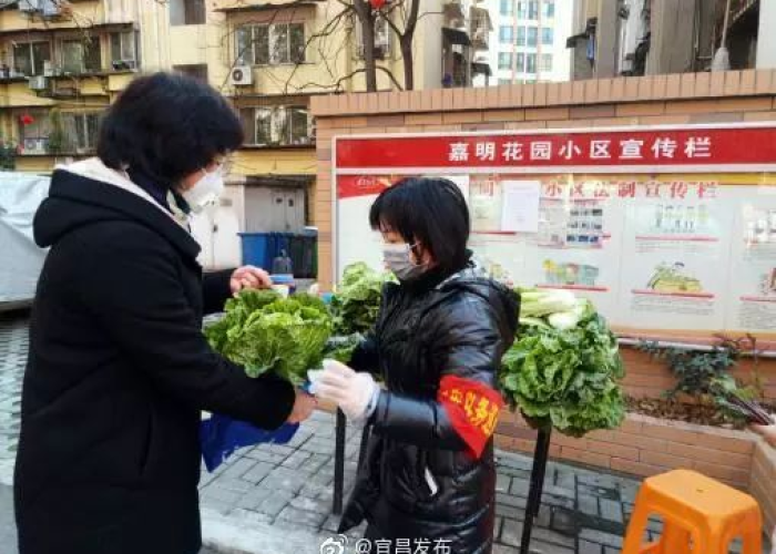疫情防控社区志愿者补助（疫情防疫志愿者补贴200）