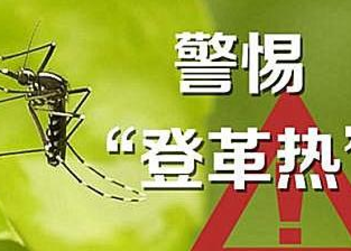 云南登革热疫情最新通报（云南登革热疫情最新通报数据）