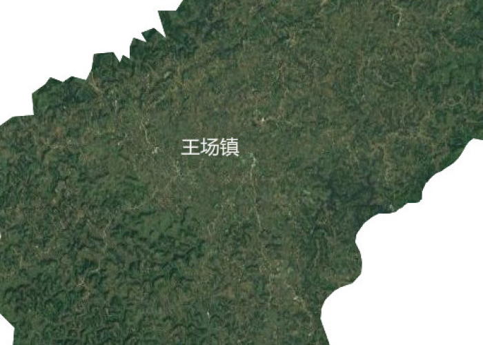 宜宾王场疫情最新信息（宜宾翠屏区王场）