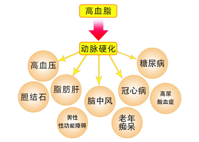 疫情最初发生在几月（疫情最初时间）