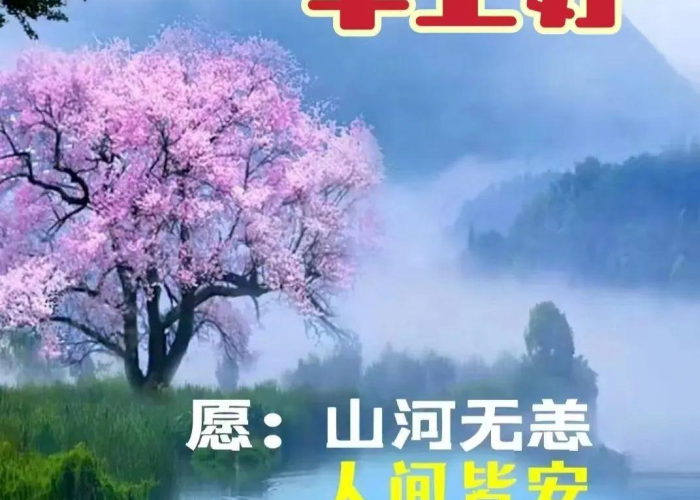 疫情居家的那段日子（疫情期间居家的句子）