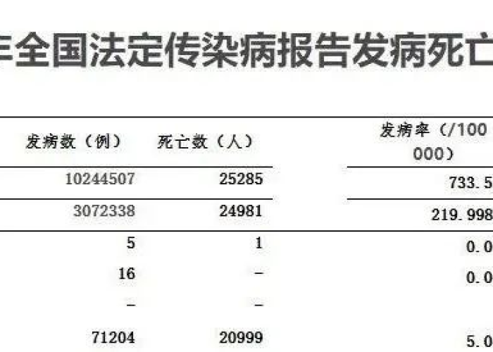 2019年三年疫情（2019年年底疫情）
