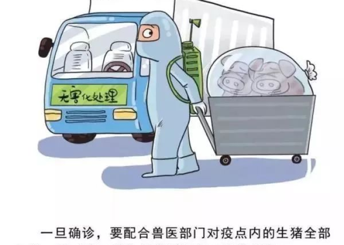 重庆疫情发生的原因（重庆疫情是什么时候发现的?）