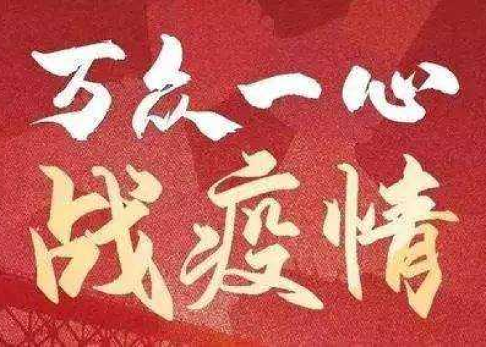 疫情背后的原因作文（疫情的因为）