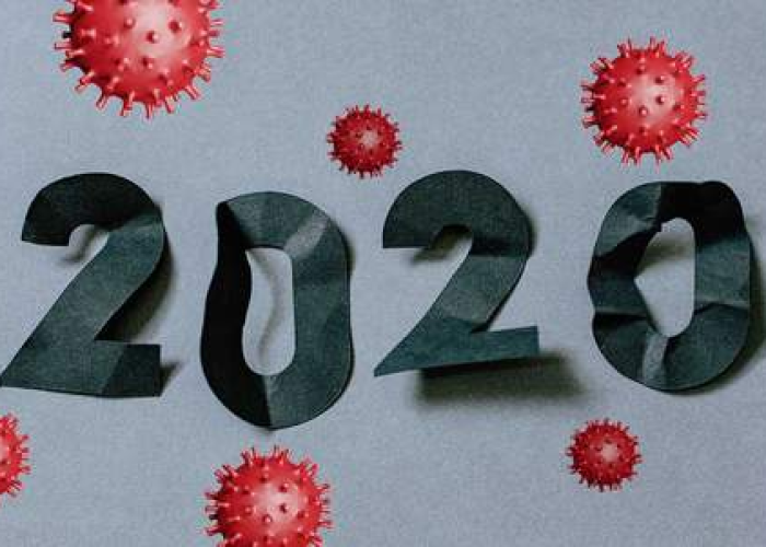 2022疫情是怎么引起的（2020疫情是怎么引起的）