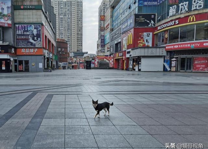 疫情最严重的几个城市（疫情最严重的几个城市是哪里）