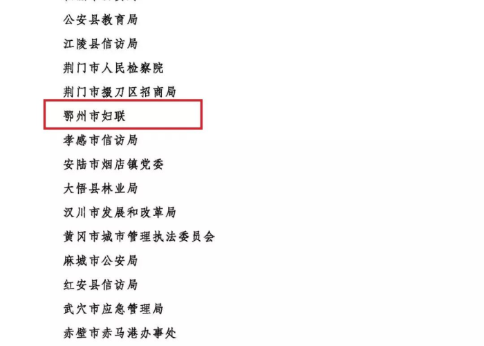 湖北疫情追责人员名单公示（湖北省疫情领导追责）