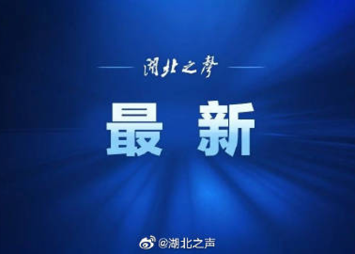 湖北疫情追责人员名单公示（湖北省疫情领导追责）