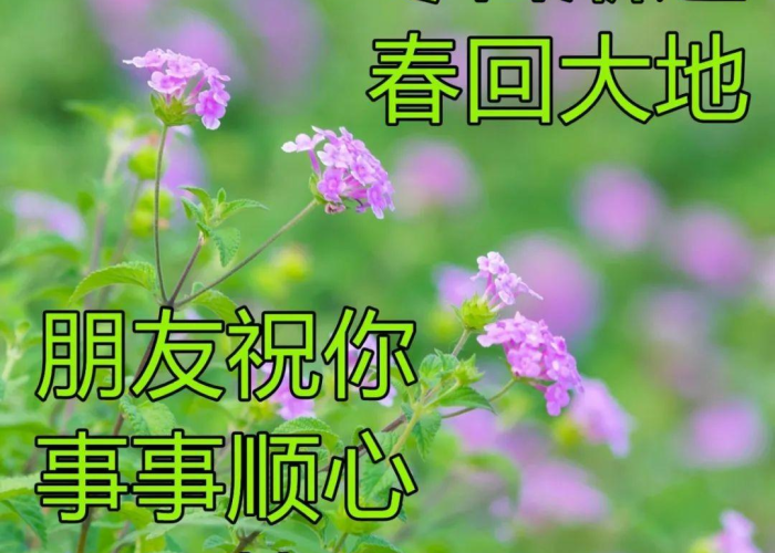 疫情话题素材怎么写（疫情话题素材怎么写文案）