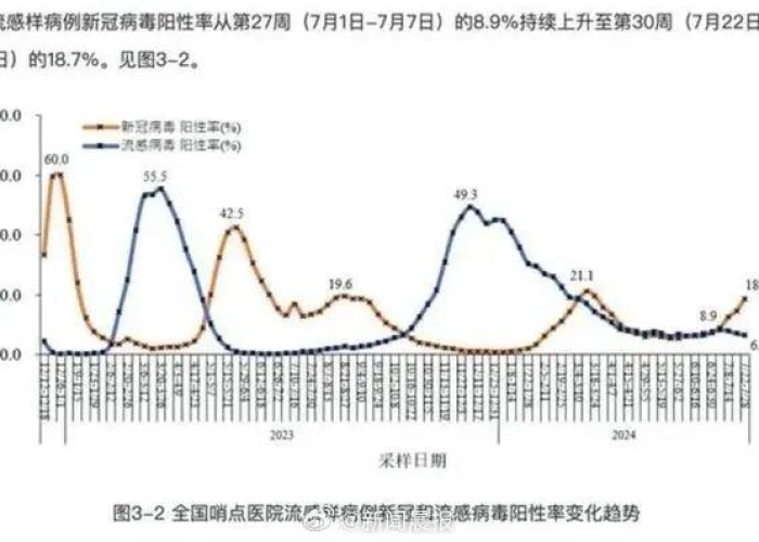 新冠疫情的起因和源头是什么（新冠疫情的起因发展过程等资料）