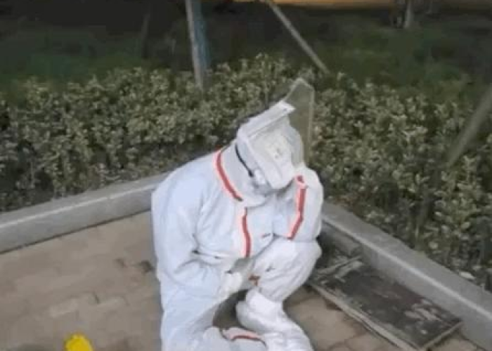 武汉疫情背后反映着哪些社会问题（武汉疫情影响下的武汉）