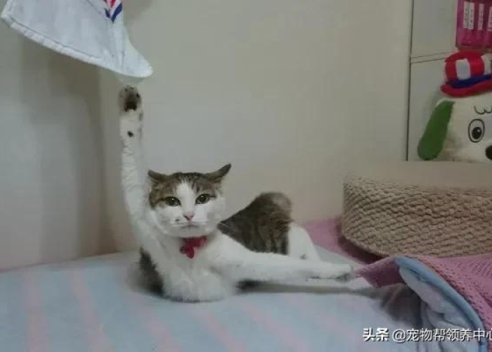 疫情图片配图（疫情图片配图说明）