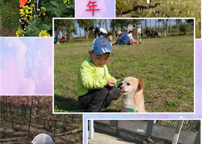 疫情哪天解封（疫情哪天解封的）