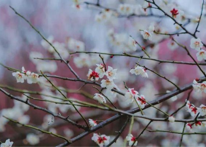 疫情什么时候完全可以过去（疫情什么时候能完全过去）