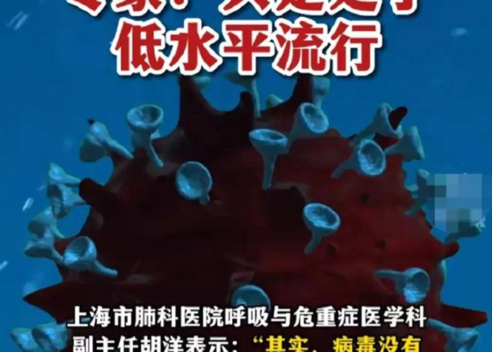 疫情消失怎么说（疫情消失怎么说英语）