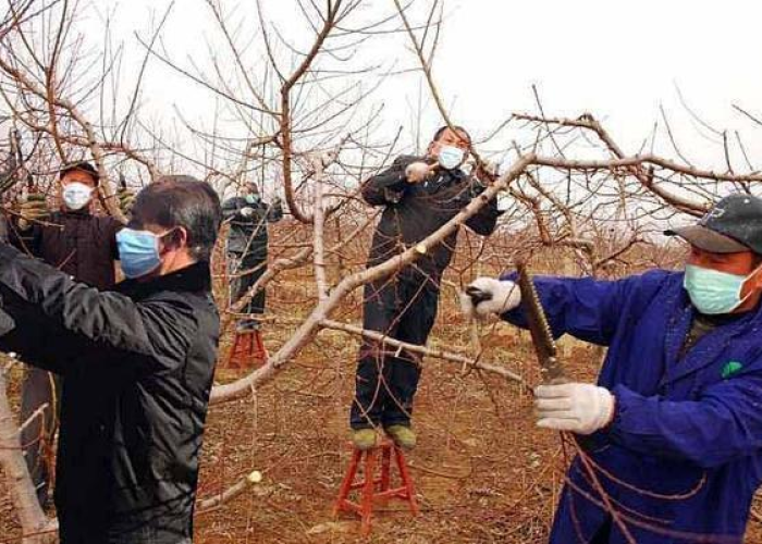 疫情防控政策什么时候改变（疫情政策什么时候放松）