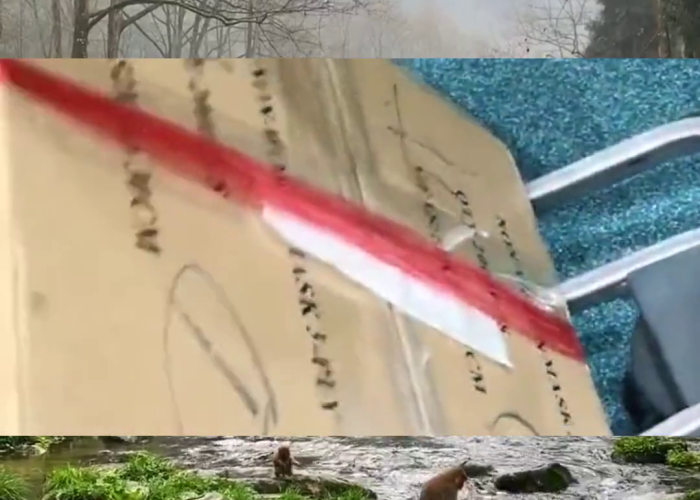 中国疫情现在哪个地方最严重（中国疫情现在哪里最严重?）