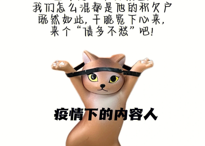 疫情居家搞笑文案（疫情居家的文案）