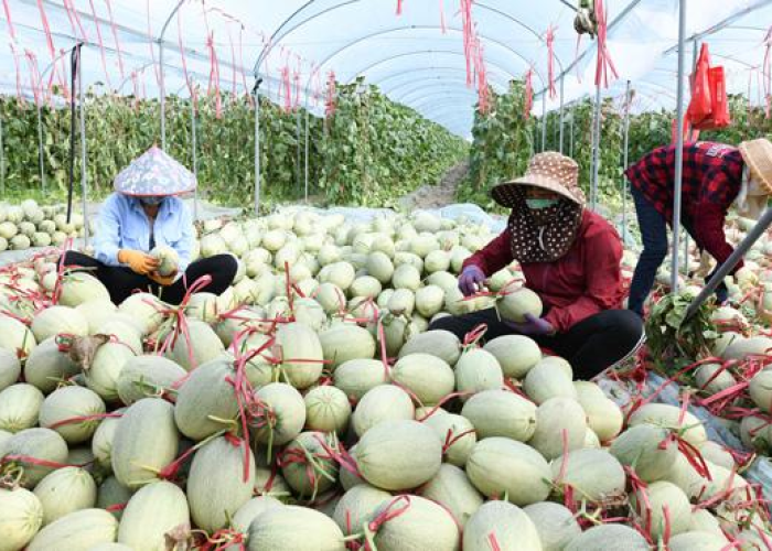 学生疫情补贴是多少（疫情期间国家对学生有补贴吗）
