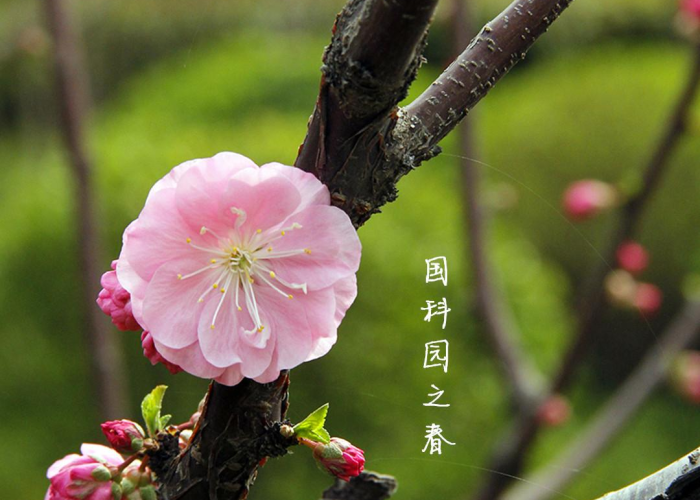 两年前新冠疫情图片（两年前的疫情）
