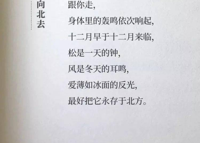 疫情文案最火暖心话（疫情文案短句干净治愈）