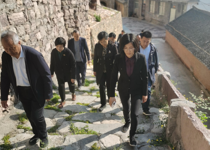 疫情什么时候能开放（疫情什么时候开放的12月几号）