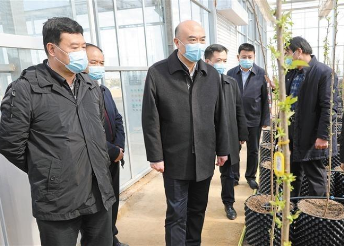疫情发展到最后会是什么结果（这次疫情最终的发展结果）