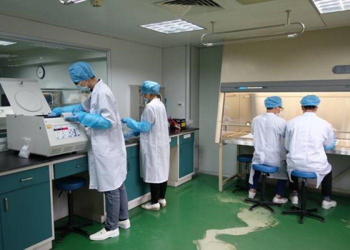 上海疫情是怎么开始的（上海疫情怎么发生的）