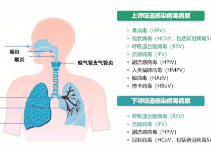 疫情宝宝出生率（疫情期间出生人口）