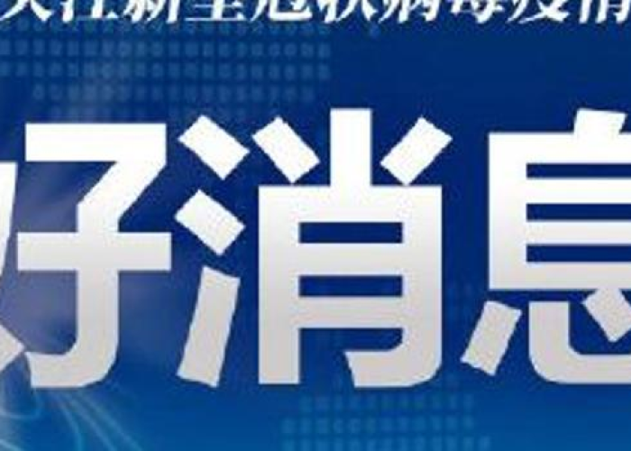 疫情背后的最新消息新闻报道（疫情幕后）