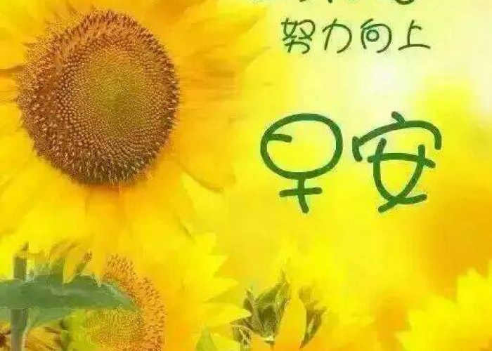 疫情当下需要正能量（当下疫情温暖正能量的一句话）