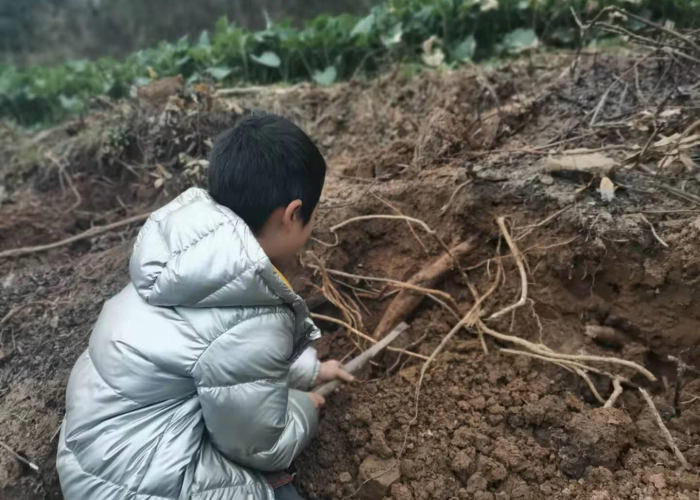 湖北疫情受处分的人（湖北因为疫情处置的官员）