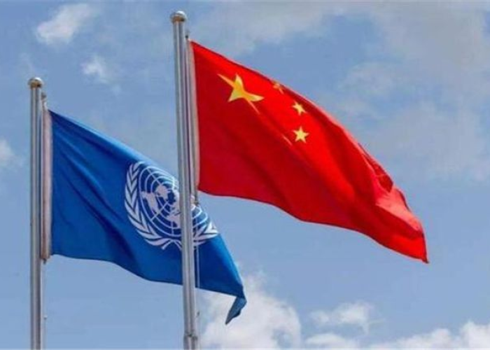 联合国对于疫情的做法（联合国对疫情的措施）