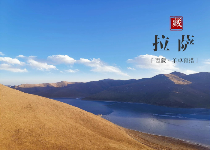 2019年突然疫情了（2019年突然疫情了吗）