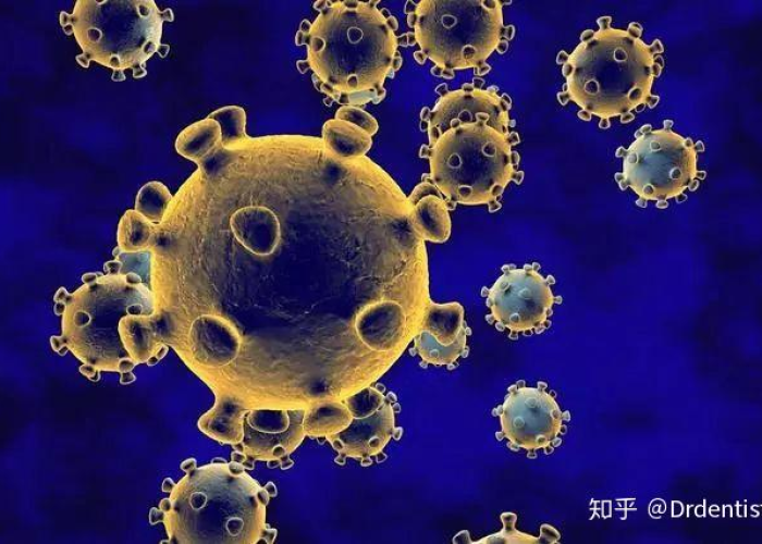 新冠疫情什么时间发生的最严重（新型冠状病毒疫情什么时候爆发）