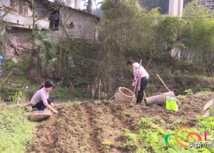 现在回想疫情的句子（现在回想疫情的句子说说）