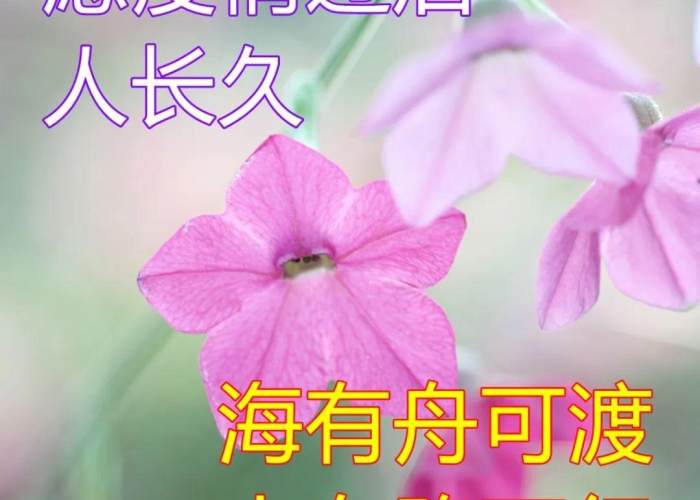 疫情封在家里快一月了（疫情封家里的说说）