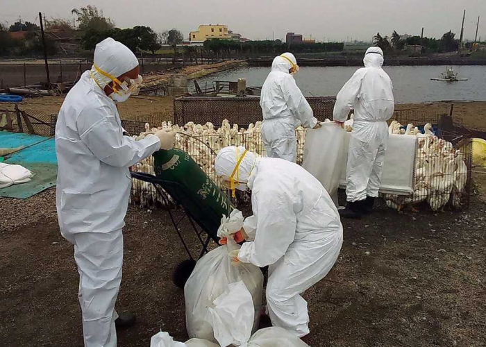疫情爆发是在什么时候（疫情在何时爆发）