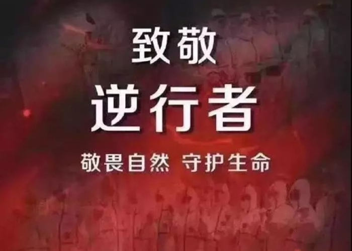 疫情爆发是在什么时候（疫情在何时爆发）